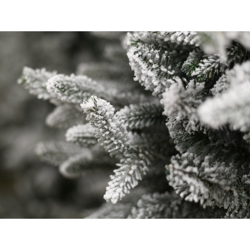 Kingston Green Fir Artificial Christmas Tree with Stand, 7.9' H