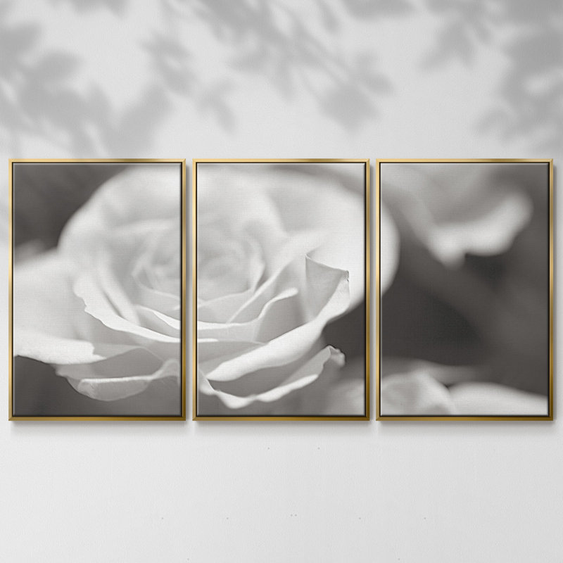 Roseudes IV - Toile encadrée multi-pièces, H 24 po x l 48 po x P 2 po, Naturel