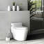 Ensemble de brosse de toilette et support autoportant PISE Dolise et acier inoxydable-30797903