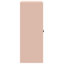 Storage Cabinet-1124211368