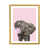 Gold Framed Paper is unavailable