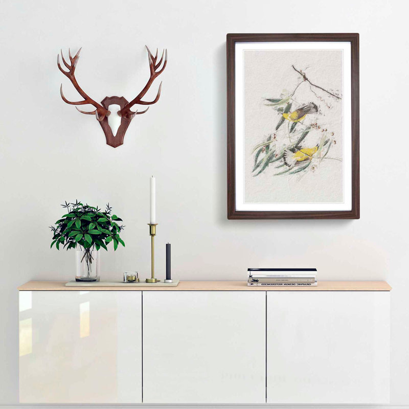Prothonotary Warbler Birds by John Audubon - Picture Frame Painting Print, 36cm H x 27cm W x 2cm D, Walnut Framed