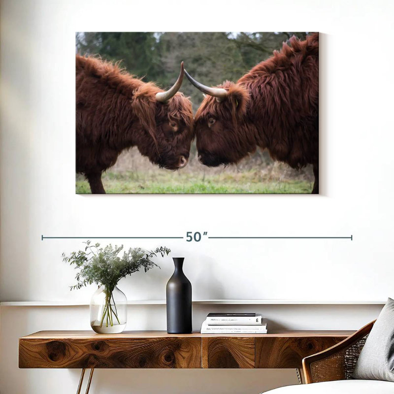 Brampt Highland Cow Clash, 26" H x 39" W
