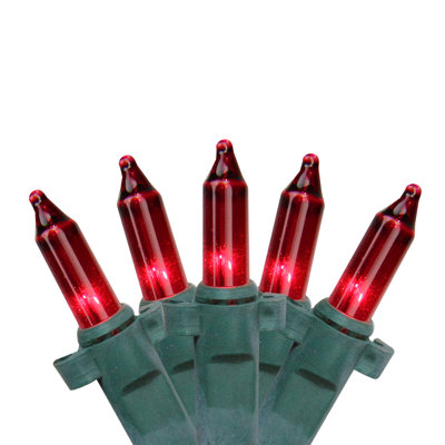Mini lumières de Noël en forme de filet