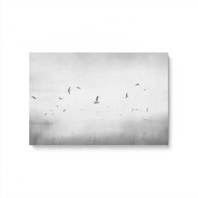 Ethereal Flight Serenade Canvas Print