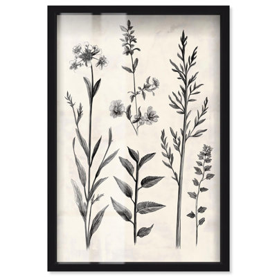Décoration murale "Meadow Herbs II" par Art Remedy, cadre noir, 31 x 46