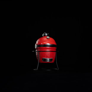 https://assets.wfcdn.com/im/87121364/resize-h310-w310%5Ecompr-r85/2053/205366230/kamado-joe-joe-jr-135-inch-portable-charcoal-grill-in-red.jpg