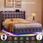 Upholstered Velvet Bed-2019643728-2019643729