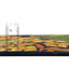 Tapis intérieur / extérieur à motif floral bleu / jaune Brett-840480828