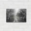«Foggy Lane» par Lori Deiter-881485893