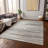  Machine Washable Indoor/Outdoor Chantille ACN996 Paprika Area Rug-59022400