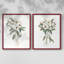 Impression encadrée Mountain Laurel I-Premium - prête à être accrochée - aucun clou requis - aucun clou requis-624468756-624468779