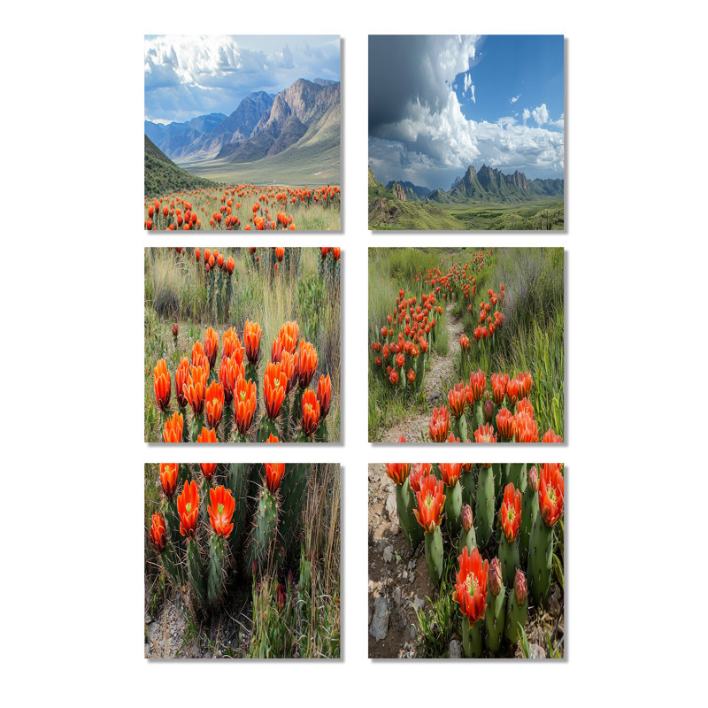 «Blooming Cacti Desert At Sunset», ensemble de 6 impressions florales sur toile, Toile tendue, Ne s’applique pas