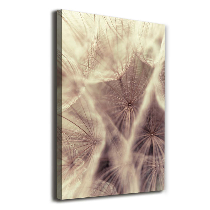 Dandelion - Wrapped Canvas Print