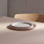 Stoneware Dinner Plate-584539007