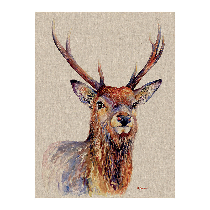 Jane Bannon - Wrapped Canvas Print, 80cm H x 60cm W