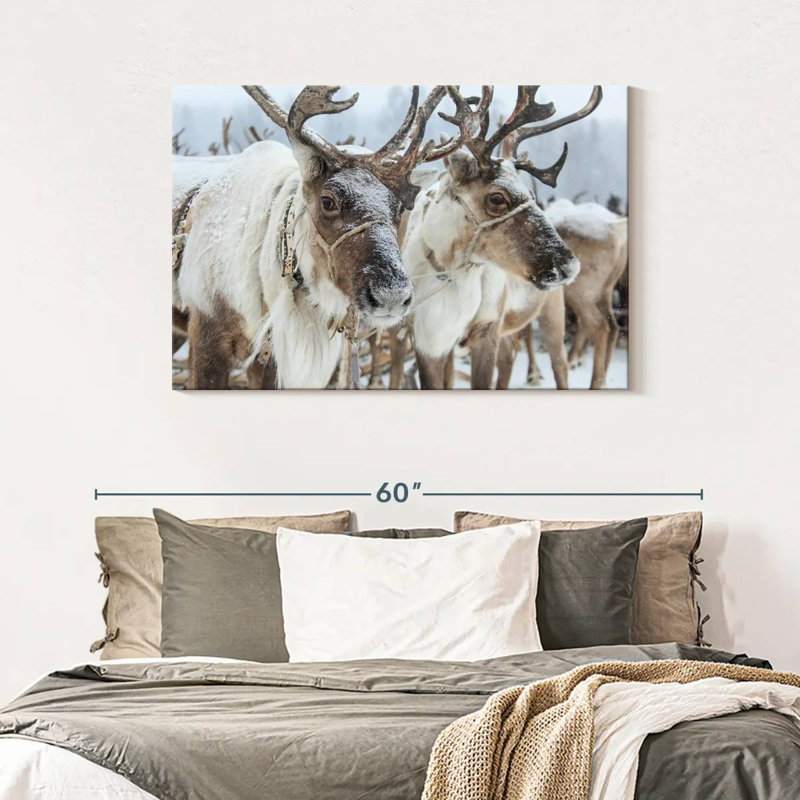 Snow Reindeer, 30" H x 45" W