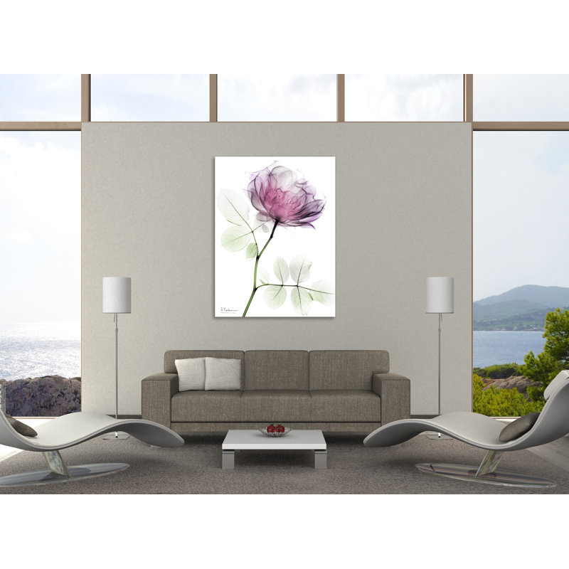 «Rose Dynasty 1», toile tendue par Albert Koetsier, H 32 po x l 24 po x P 1,5 po