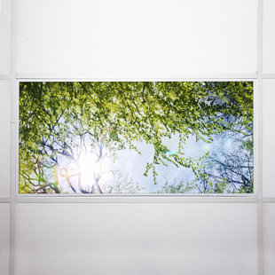 Couvre-lampes fluorescents Tree Classroom pour plafonniers - pour luminaire 2 x 4 - par Octo Lights