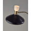 Rotisha 61'' Dimmable LED Floor Lamp