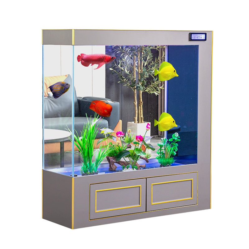 Aquarium 60-67 gallons, H 51,18 po x l 31,5 po x P 15,75 po