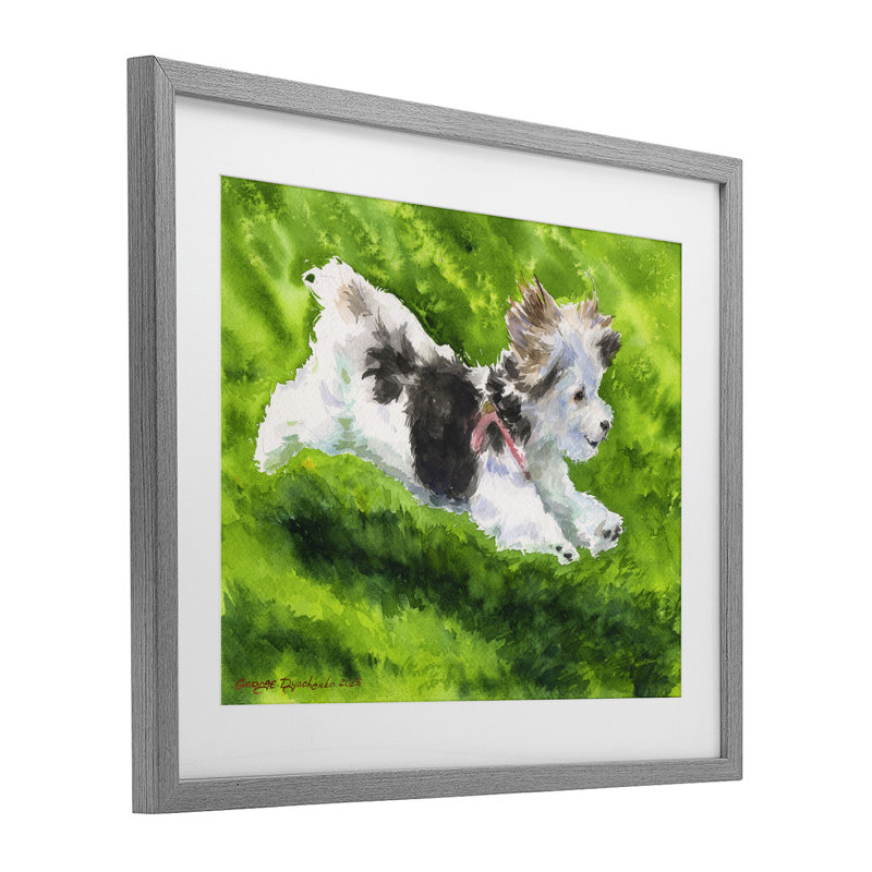 «Happy Maltipoo», reproduction encadrée sous verre, conception de George Dyachenko, Cadre de ferme gris, H 13 po x l 16 po