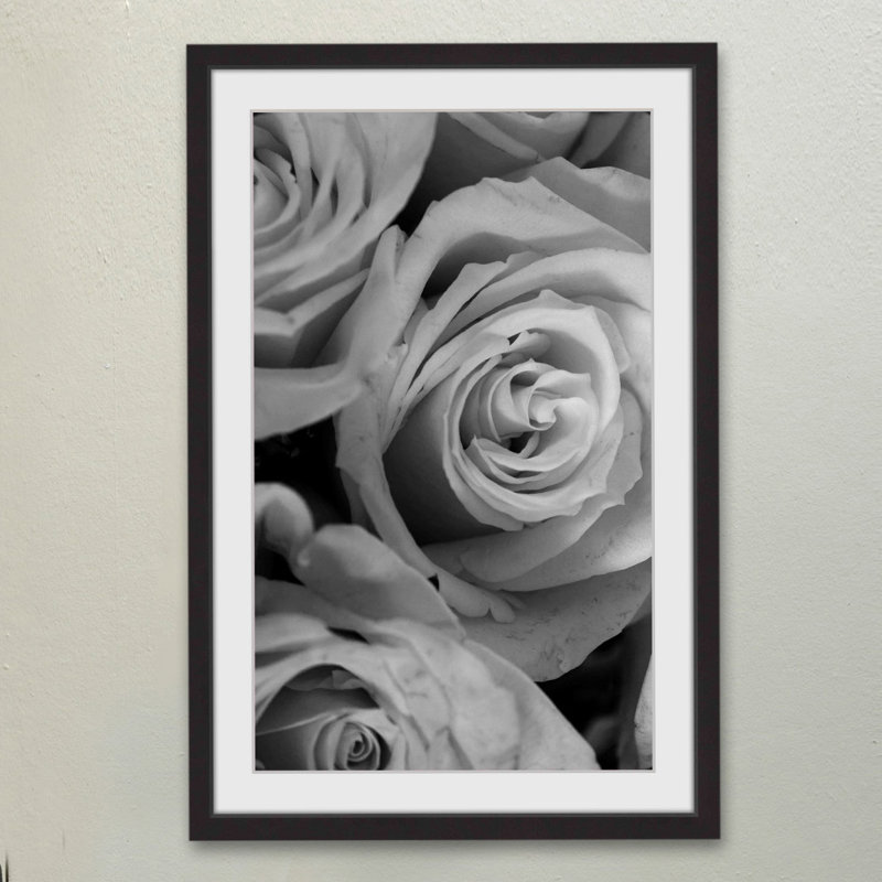 Judy Stalus - Single Picture Frame Print, 91cm H x 61cm W x 3.81cm D