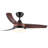 Small-CF 42'' Ceiling Fan with LED Lights-1231769035