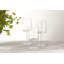 Modo 14.9 oz. Crystal Drinking Glass