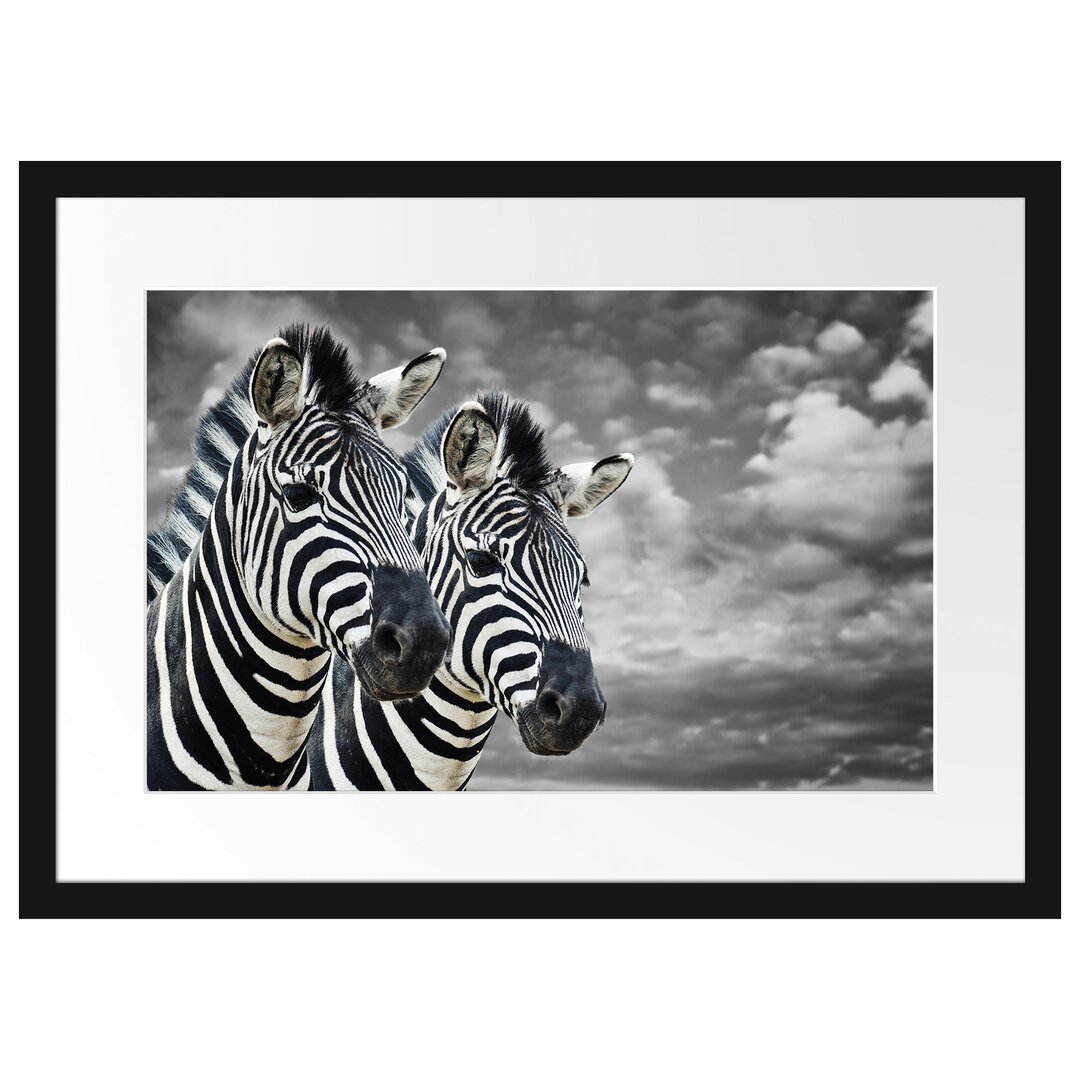 Gerahmtes Poster Zwei Zebras