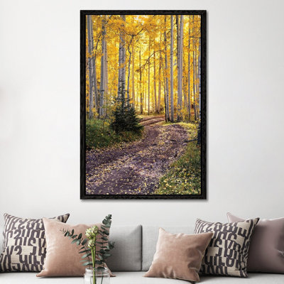 Autumn Aspen Forest Road - Colorado Fall Colors by Daniel Forster - Gallery-Wrapped Canvas Giclée on Canvas
