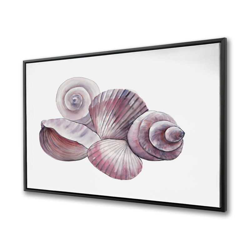Coquillages de bord de mer