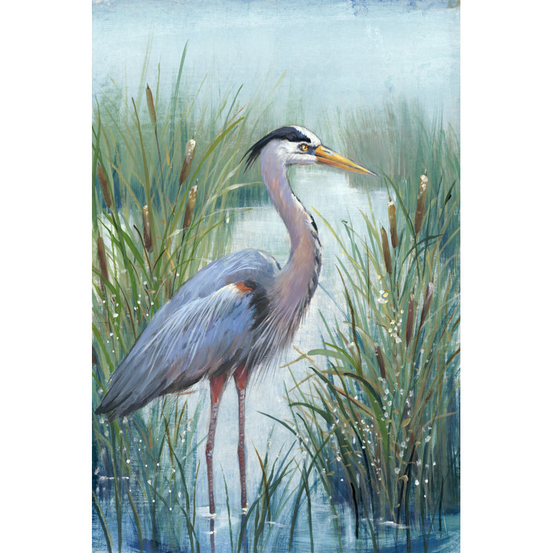 «Marsh Heron I» par Timothy O 'Toole, reproduction d'art sur toile, H 36 po x l 24 po, Impression encadrée avec passe-partout