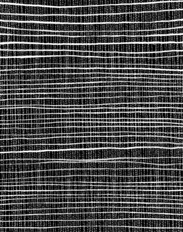 Line Study " Line Study IV " by Guseul Park, Image Brush Gel, 38" H x 30" W