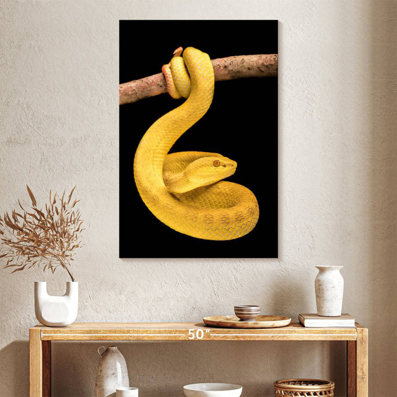 Brampt Venomous Pit Viper, 39" H x 26" W