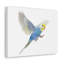 No Frame Print on Canvas-1582834937
