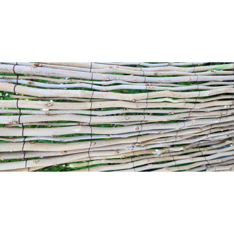 Mulberry Rolled Fence