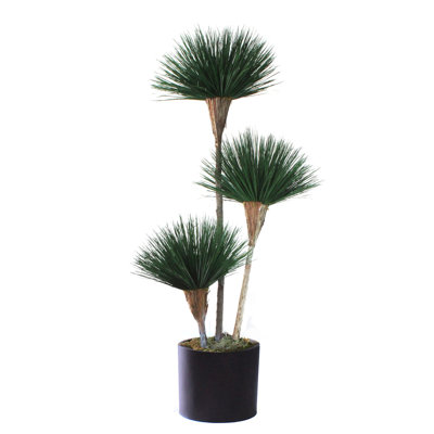 Tree in Planter