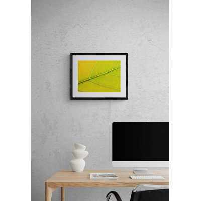 Feuille d'automne par Philippe Moisoux - photographie