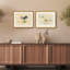 Martha Stewart Perry Street Paper Wall Art, Modern Still Life: Goldfish Composition, 17" x 21", Living Room and Bedroom Decor, Framed