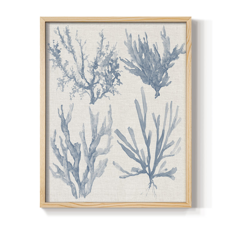 Collection Sea Coral II, impression encadrée - bois massif, Naturel, H 11 po x l 9 po