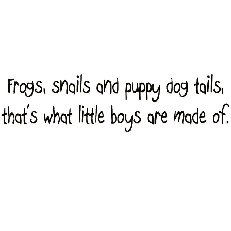 Les escargots des grenouilles et des chiots pour chien, c’est ce que sont les petits garçons faits de décalcomanie murale Duckett