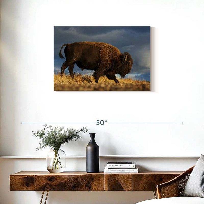 Roux marchant le bison d'Amérique, H 20 po x l 30 po
