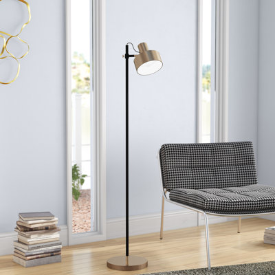 Hayden 56'' Task Floor Lamp