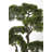 Houston 60.5'' Faux Bonsai Tree in Planter