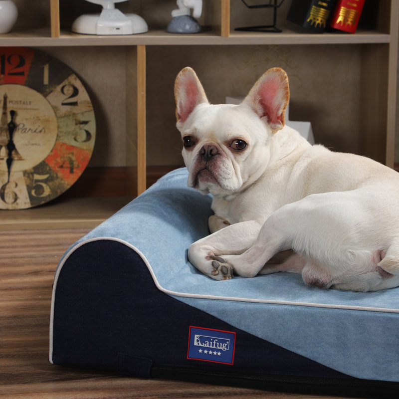 Traversin géant pour chien, L 34 po x P 22 po x H 7 po, Bleu