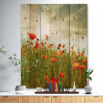 Floral, coquelicot rouge, toile d'art sur fond - Coquelicot