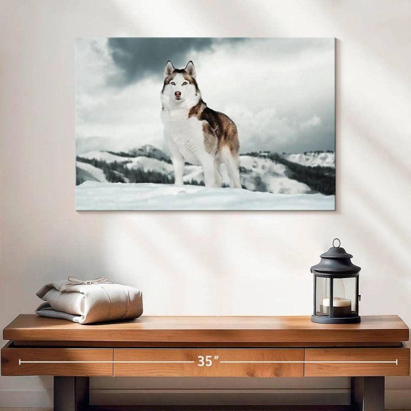 Majestic sibérien Husky, H 16 po x l 24 po