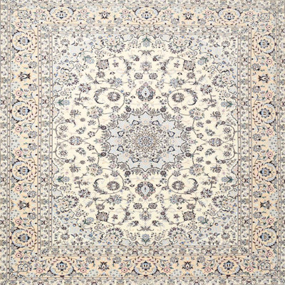 Oriental Indoor Rug