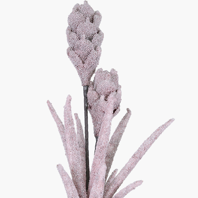 Protea Arrangement, Pink
